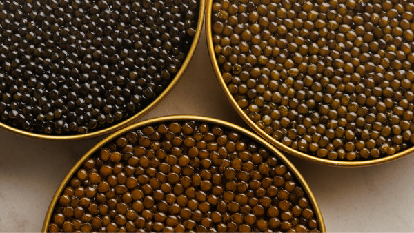 Three open tins of caviar arranged together, showing dark grey, golden-amber, and dark brown pearl varieties