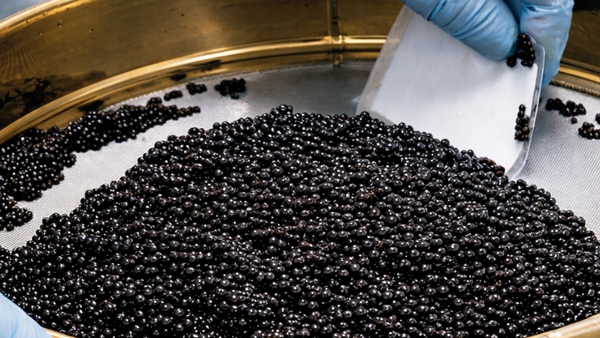 A close-up of premium caviar pearls illustrating the production quality from sturgeon farm to tin.