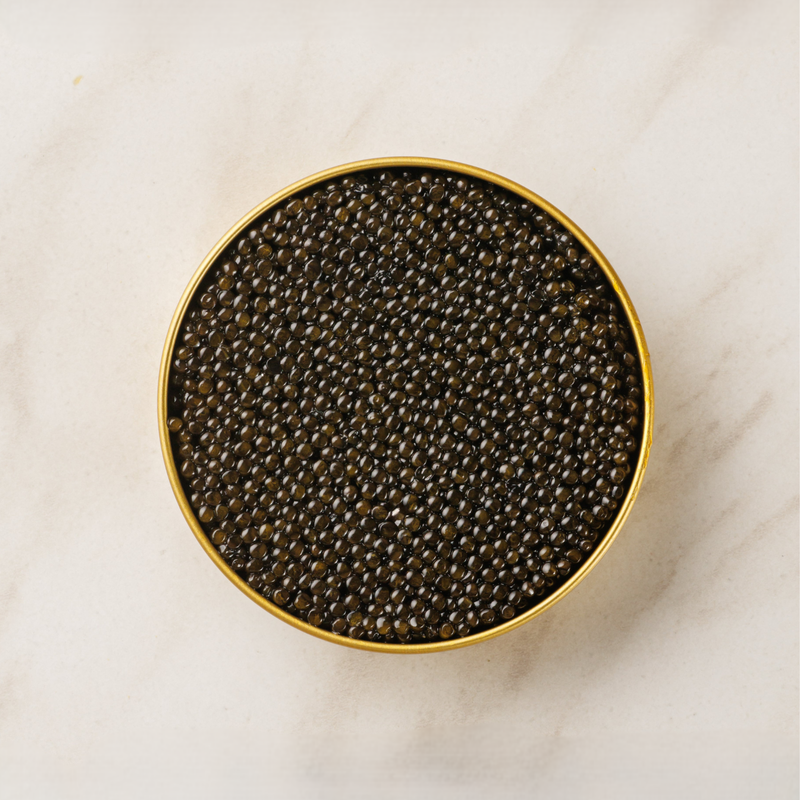 Attilus Royal Siberian Caviar