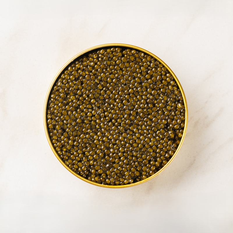 Attilus Royal Oscietra Caviar