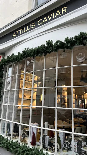 The Fine Source storefront